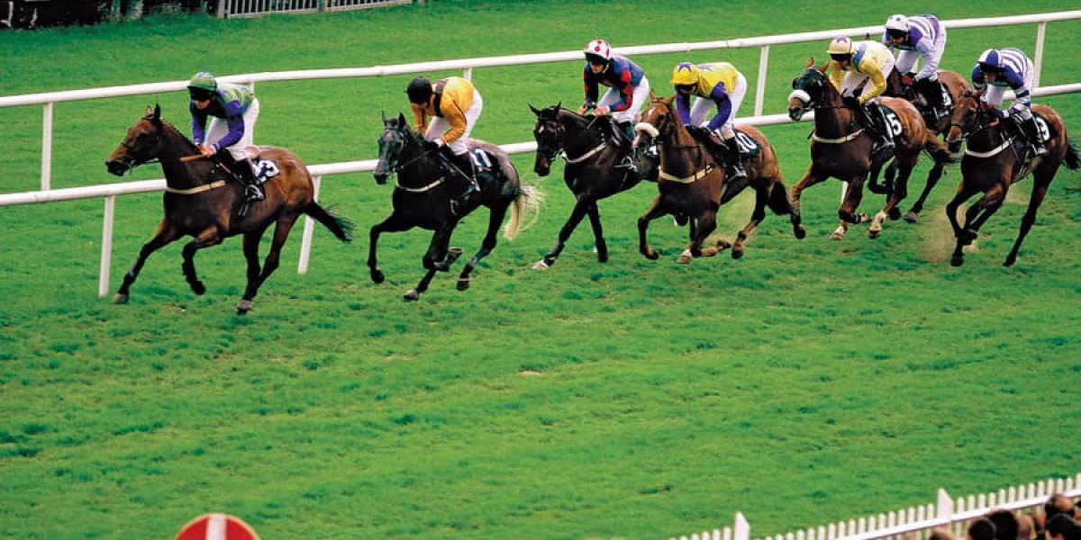 Bet on the Bright Side: Discover the Thrill of Sports Betting Here!